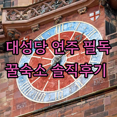 프라이부르크 여행 대성당 오르간 연주 일정과 위치 좋은 호텔 예약 정보 및 솔직한 후기 분석